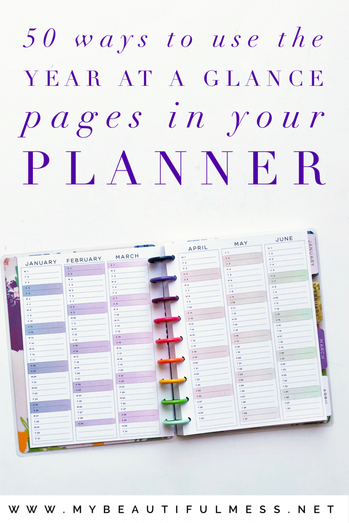 50 Ways to Use the Year At A Glance Page In Your Planner