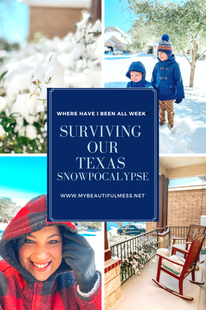 Surviving Our Texas Snowpocalypse